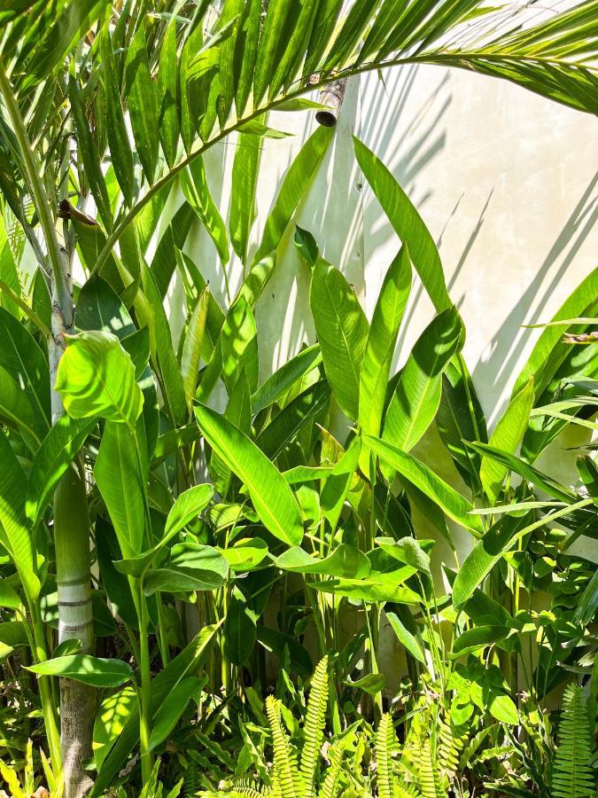 Las Flores Lombok Kuta  Екстериор снимка